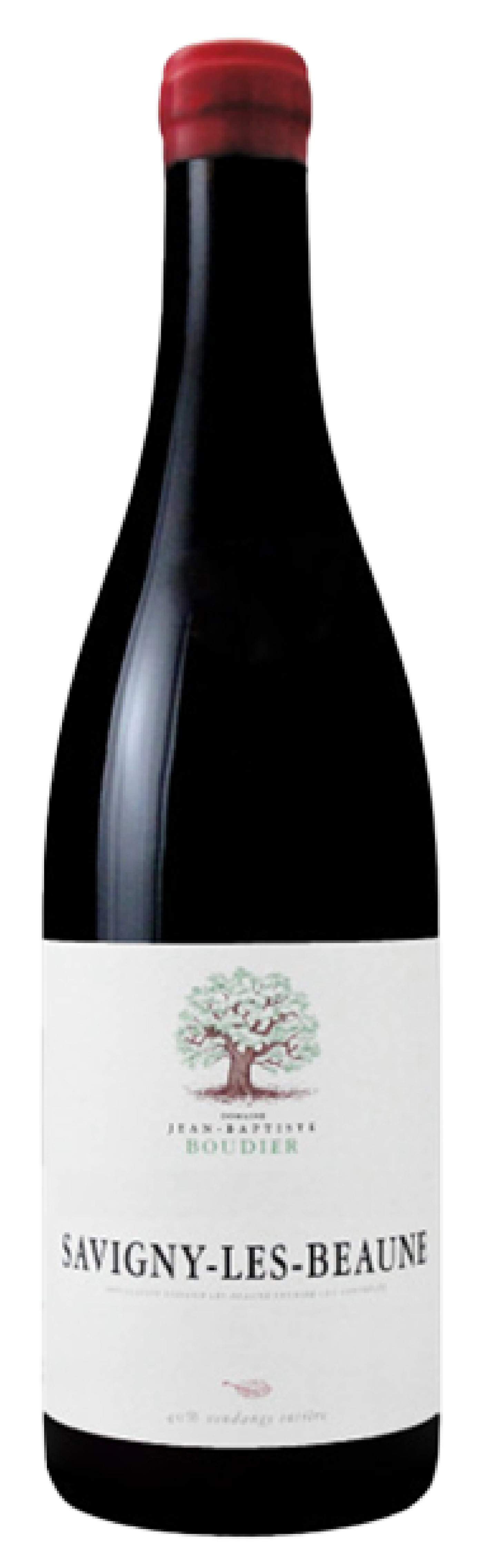 도멘 장 밥티스트 부디에, 사비니 레 본 2021