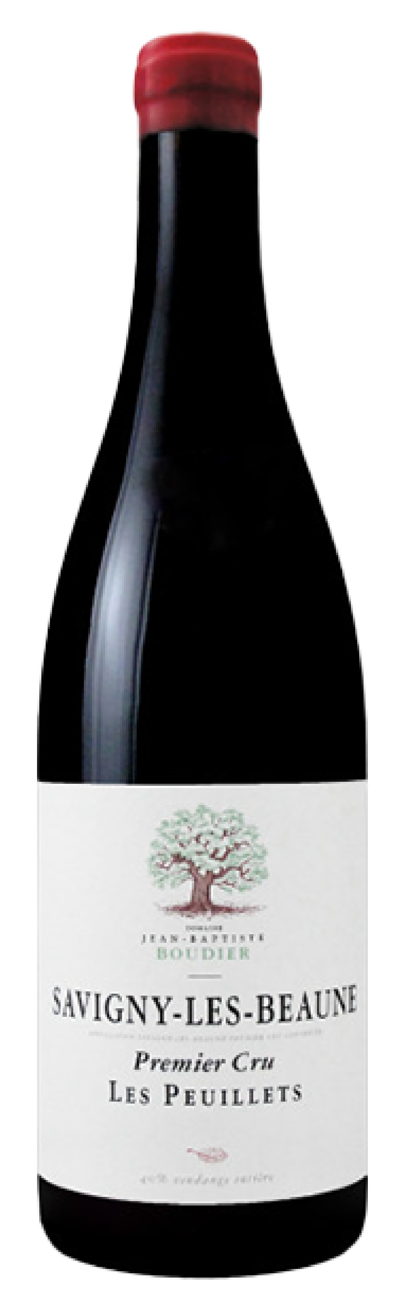 도멘 장 밥티스트 부디에, 사비니 레 본 프리미에 크뤼 `레 쁘이에` 2021