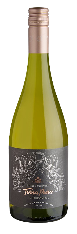 비냐 테라푸라 싱글 빈야드 샤도네이 2023