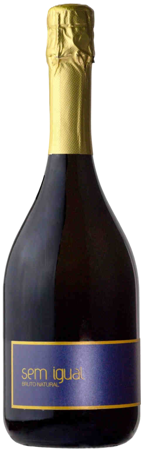 셍 이구알 에스푸만테 2019