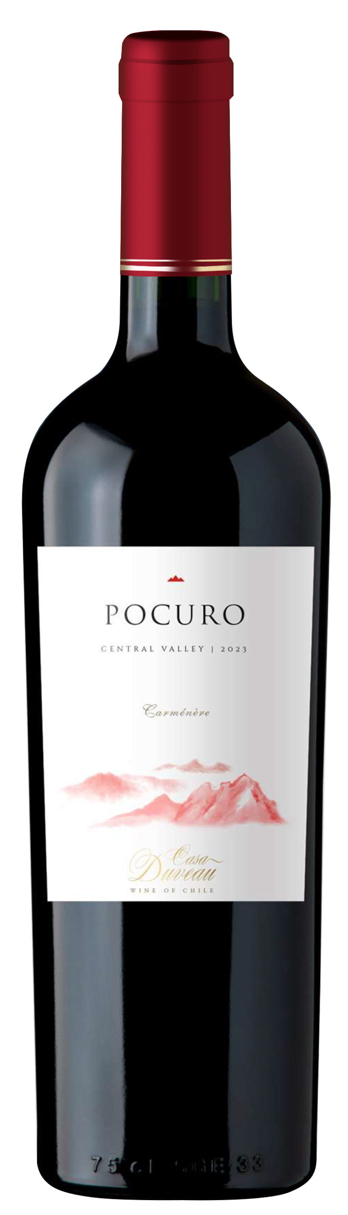 포쿠로 까르미네르 2023