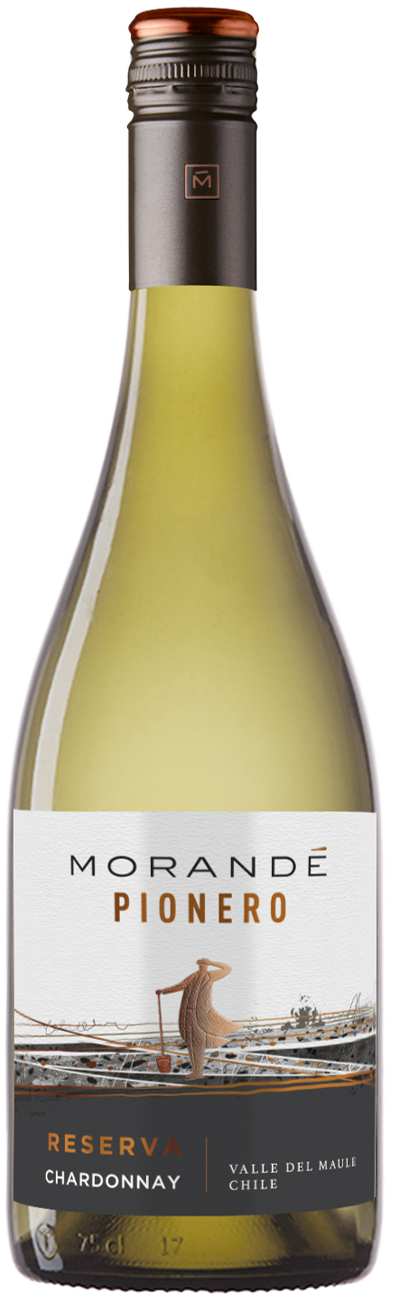 모란데, 피오네로 샤르도네 2025