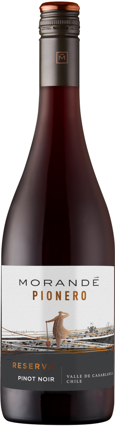 모란데, 피오네로 피노 누아 2023