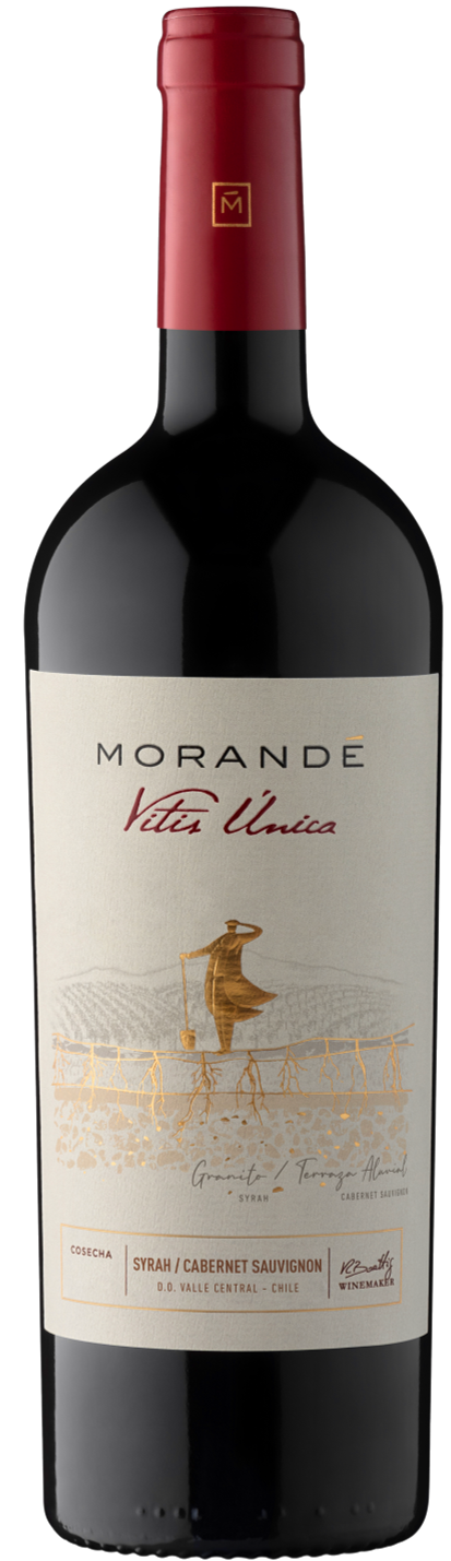 모란데, 비티스 우니까 쉬라 - 까베르네 소비뇽 2021