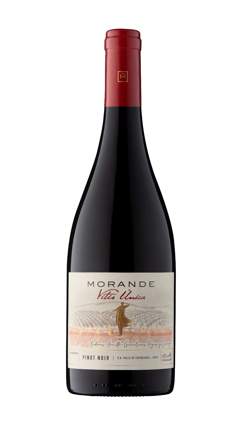 모란데, 비티스 우니까 피노 누아 2022