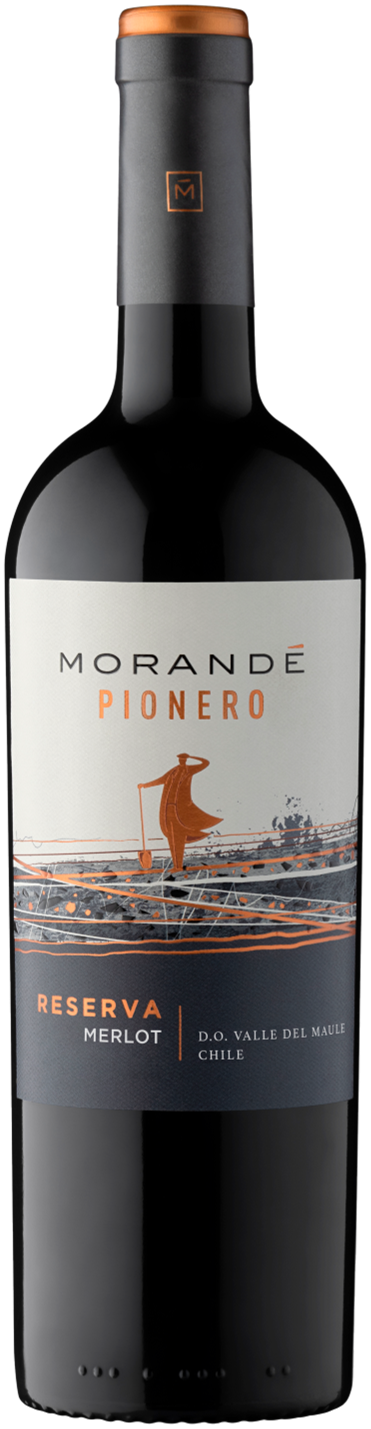 모란데, 피오네로 메를로 2022