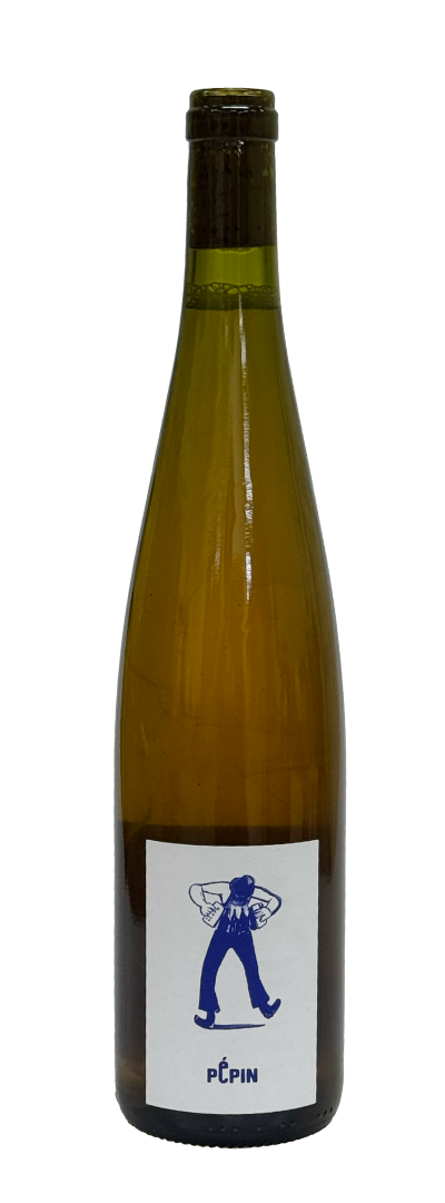 빼빵 오렌지 2024