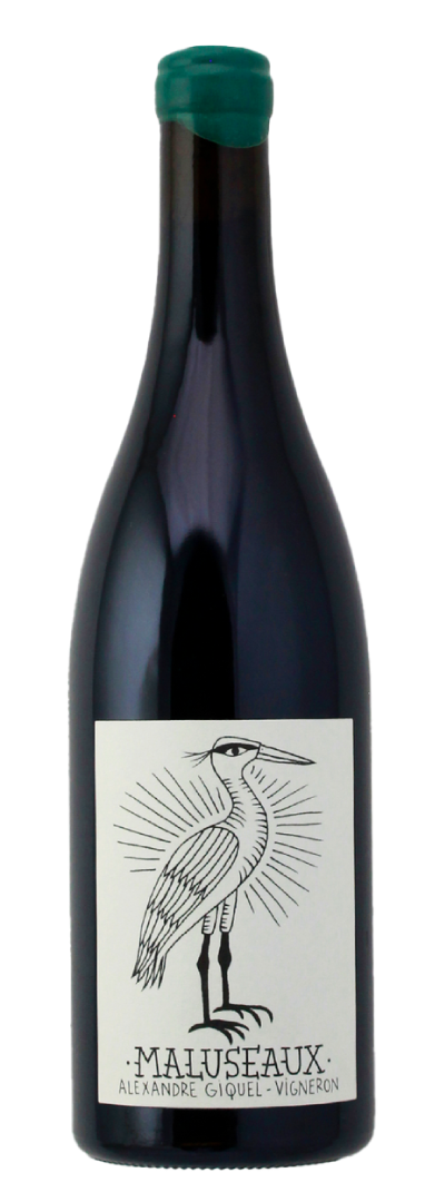 말루소 가메이  2022