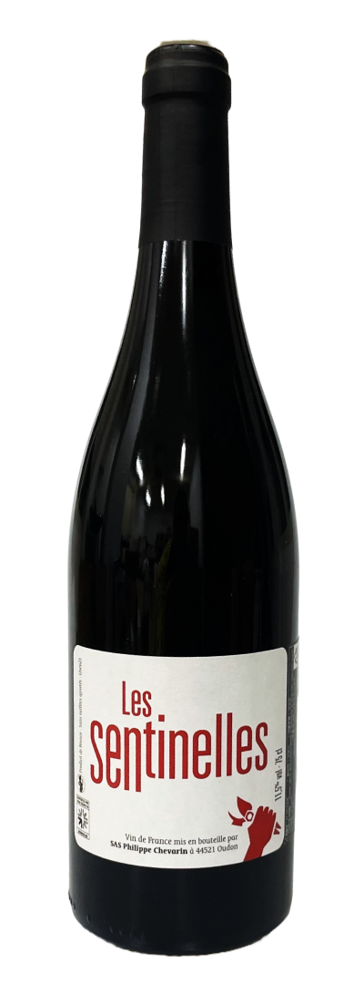 레스 센티넬레스 2021