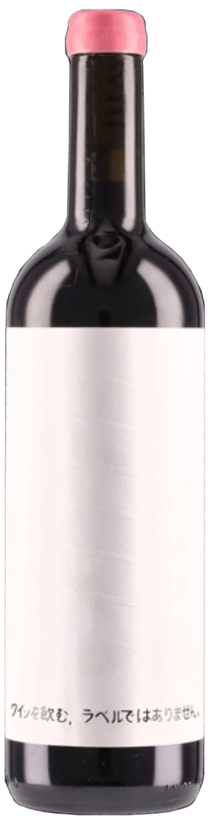 DWNL 피노 네로 2022