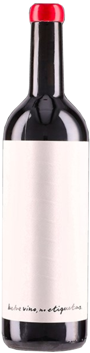 DWNL 랑게 로쏘 2022