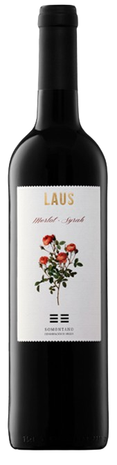 라우스 틴토 호벤