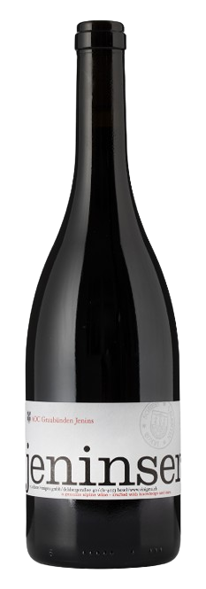 비니그마 예닌서