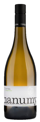 비니그마 나누미