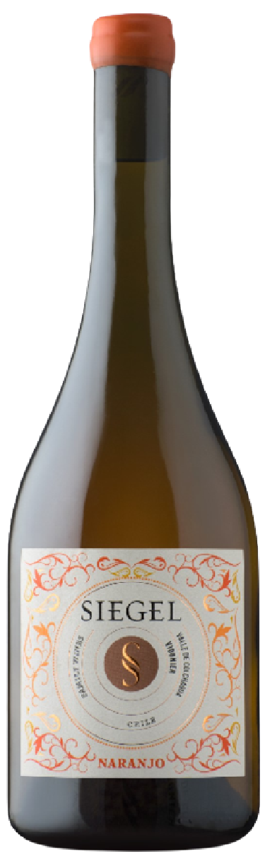 시겔 나란조 2024