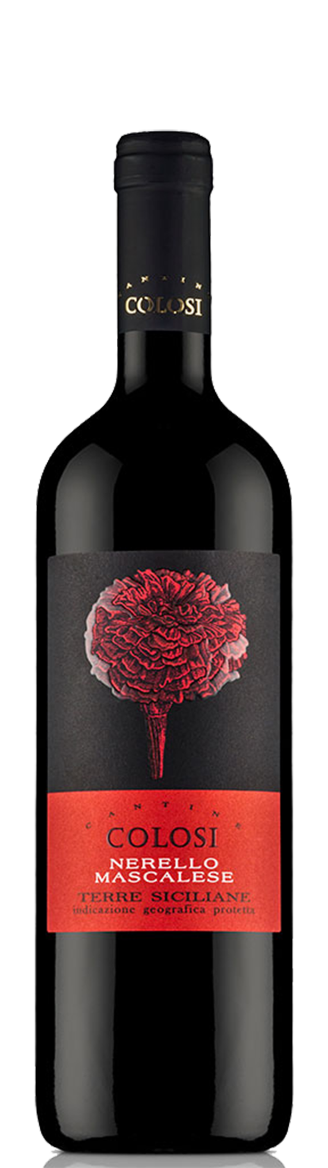 [콜로시] 네렐로 마스칼레제 IGP 2022