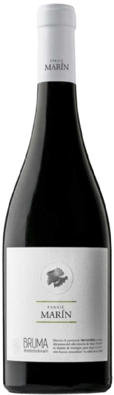 파라제 마린 2022