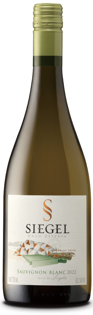 (재입고 미정)시겔 그랑 레세르바 소비뇽 블랑 2024