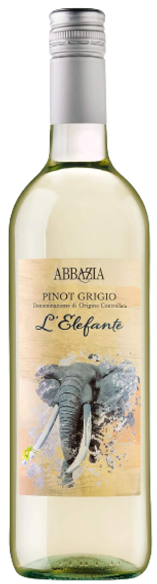 아바찌아 피노 그리지오 디오씨 엘레펀트 2024