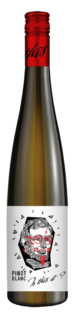 이즈 디스 잍 피노블랑