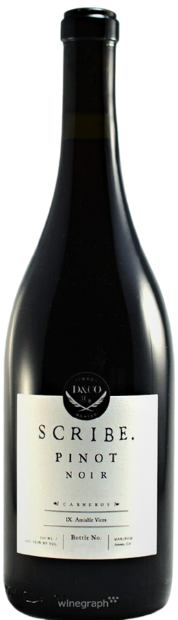 스크라이브 피노 누아 카네로스 2022