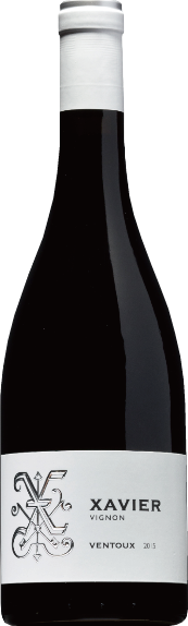 자비에르 방투 2017