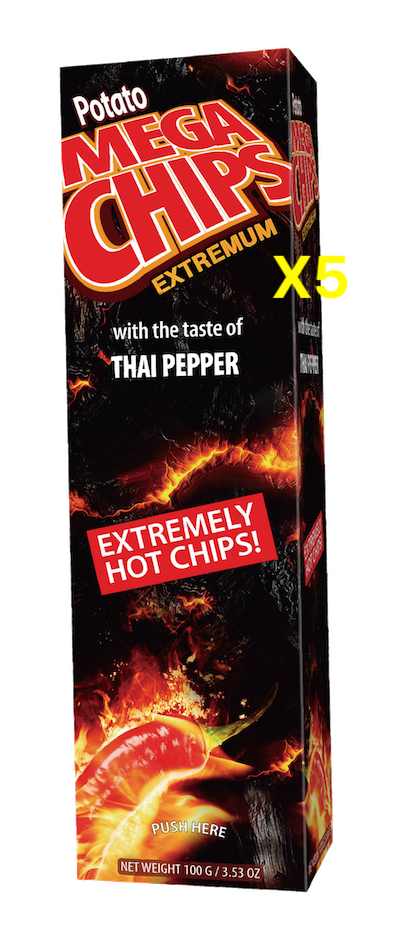 메가칩스 타이페퍼 X 5개