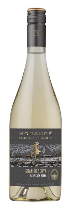 모란데, 셀렉시옹 그랑 레세르바 소비뇽 블랑 2025