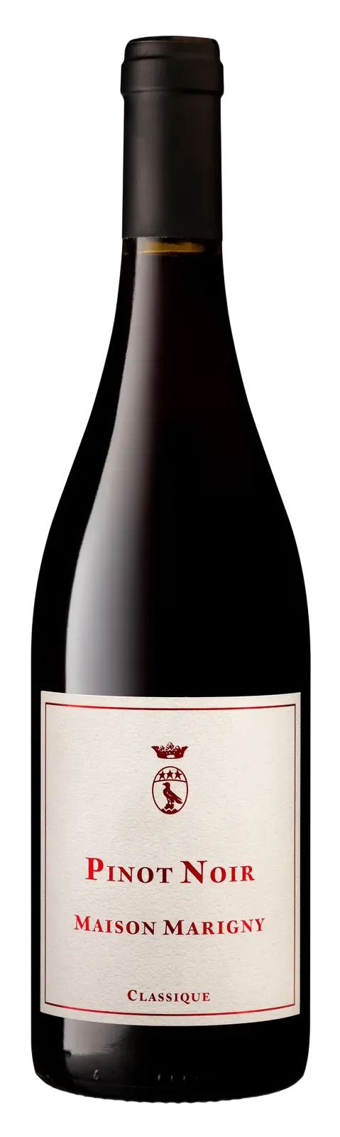 클라시끄 피노 누아 2023