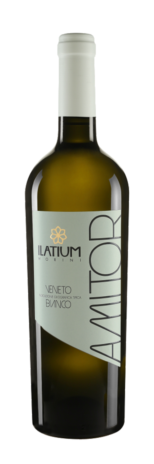 아미토르 라티움 2022