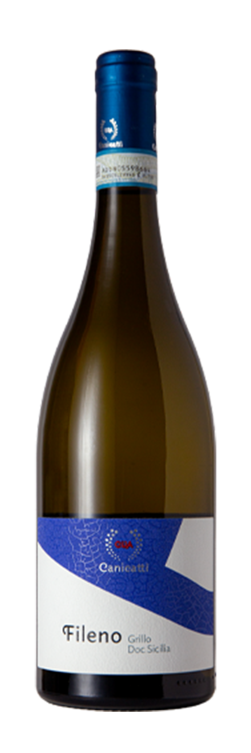 필레노 CVA 카니카티 2023