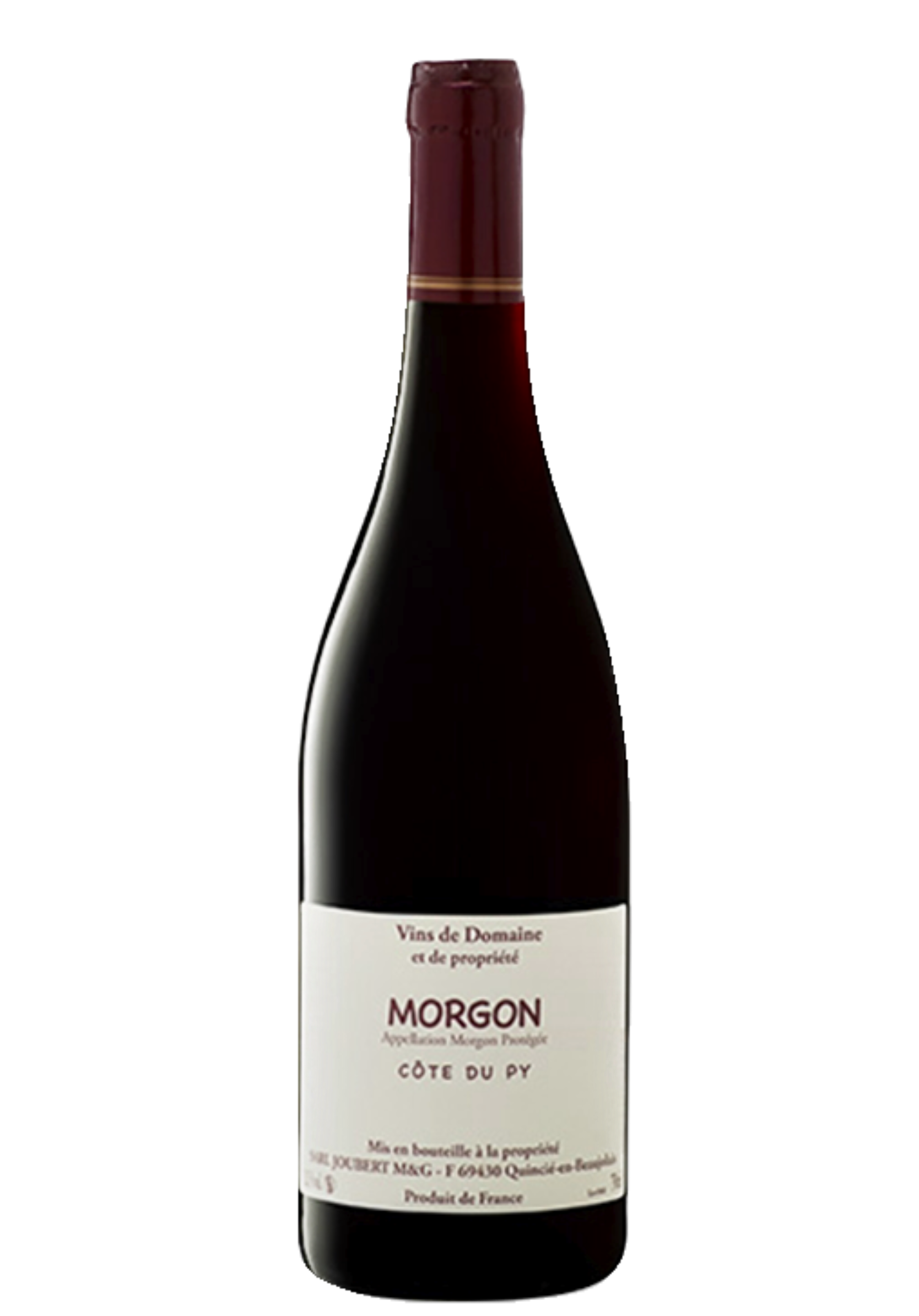 모르공 비에이 빈느 “라 꼬뜨 뒤 피” 2019