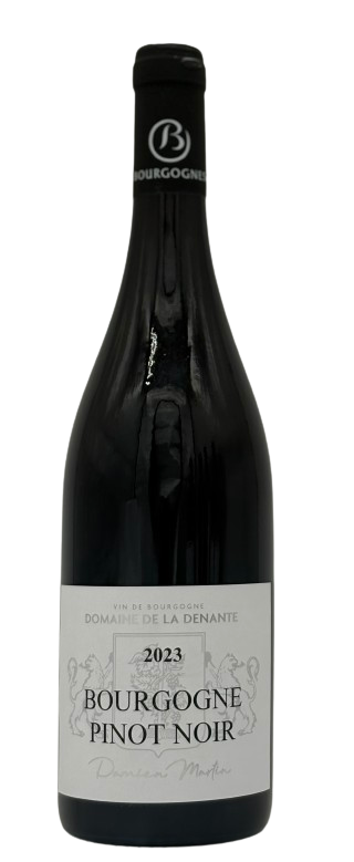 부르고뉴 피노누아 2023