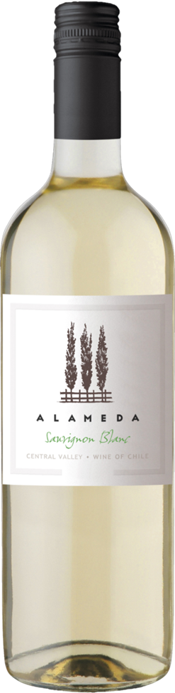 알라메다 소비뇽 블랑 2025