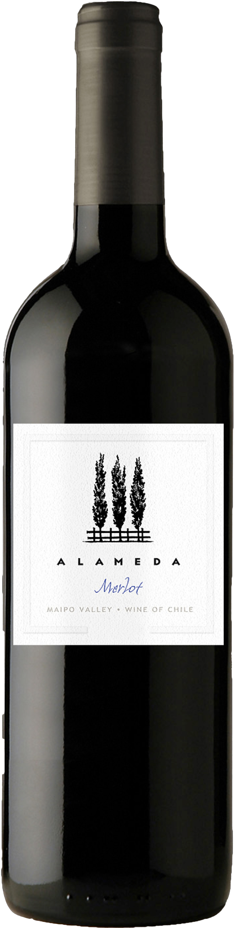 알라메다 메를로 2024