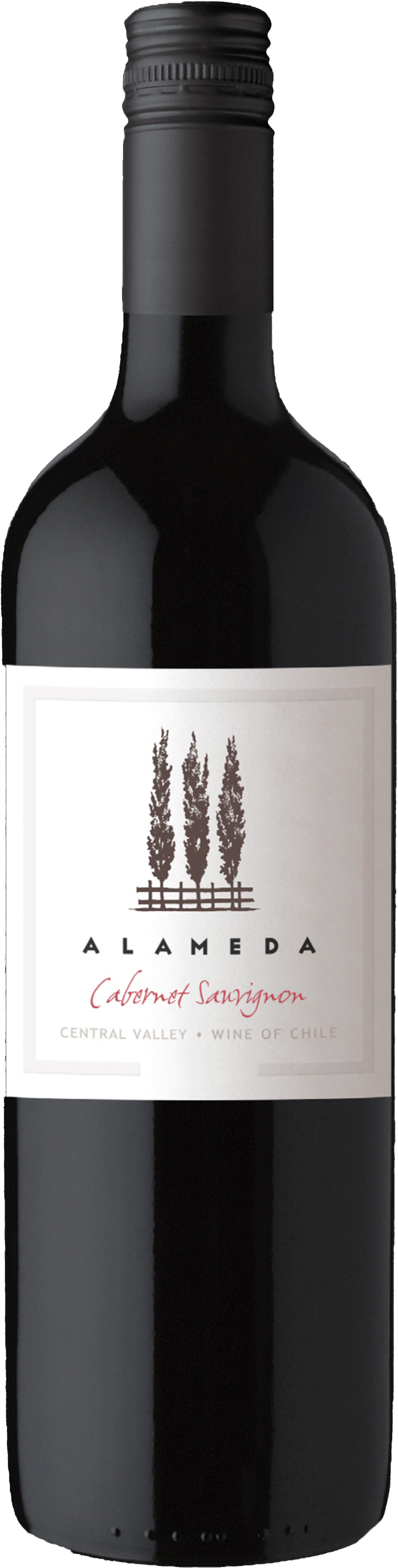 알라메다 까베르네 소비뇽 2024