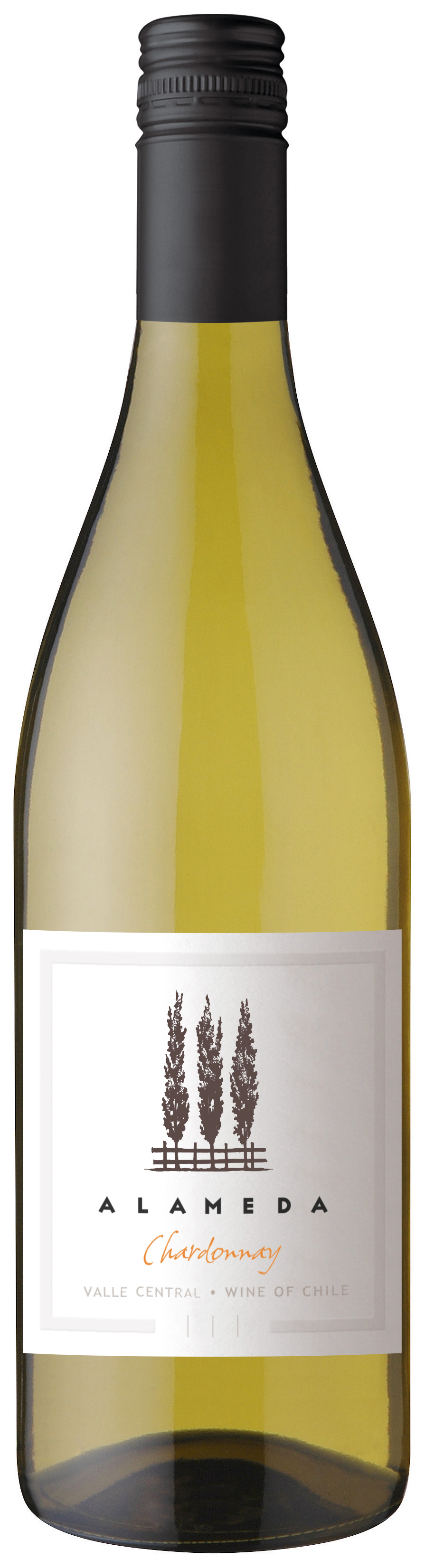 알라메다 샤르도네 2025