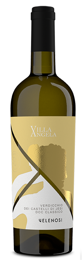 벨레노지 베르디키오 빌라 안젤라 2024