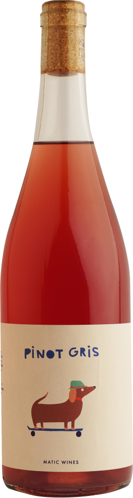 마틱 피노 그리 스킨 컨택 2021