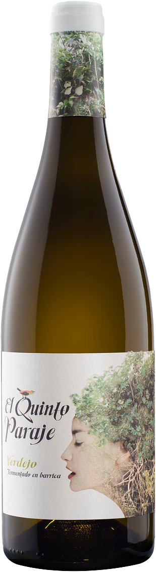 로드리게스 산조 엘 킨토 파라헤 베르데호 2019