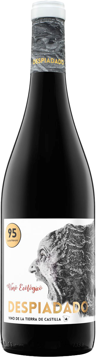 로드리게스 산조 데스피아다도 2020