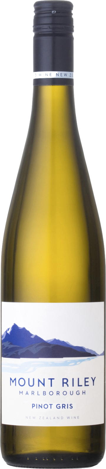 마운트 릴리 피노 그리 2024