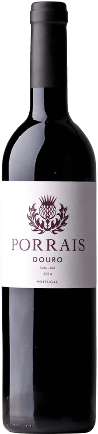 뿌라이스 틴토 2018