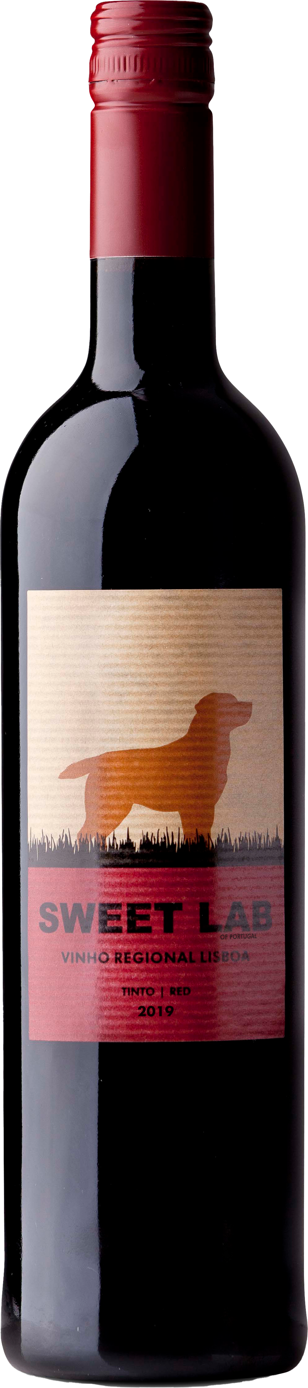 랩 스위트 틴토 2021