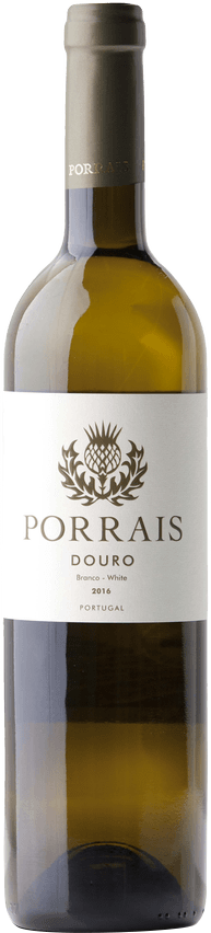 뿌라이스 블랑코 2021