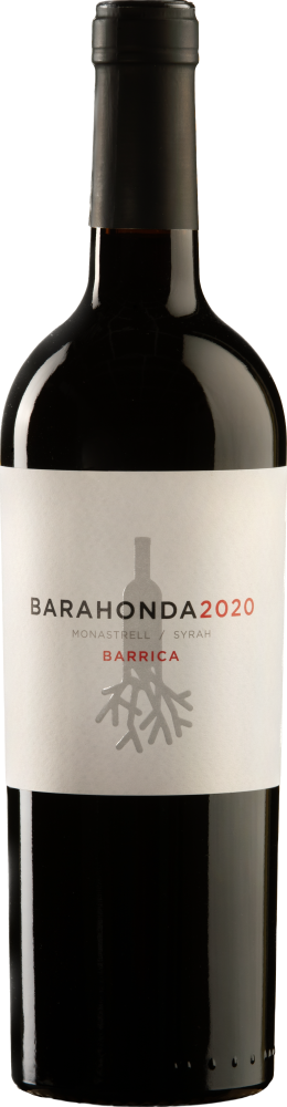 바라온다 바리카 2020