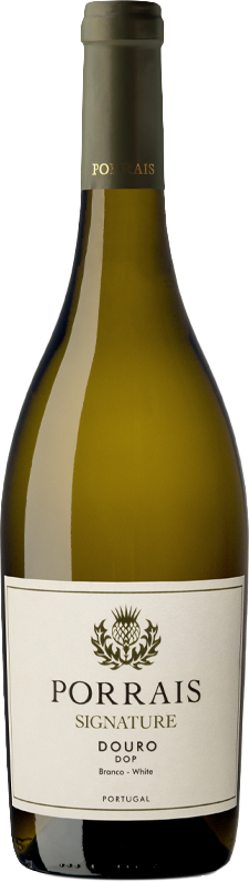 뿌라이스 시그니쳐 블랑코 2021