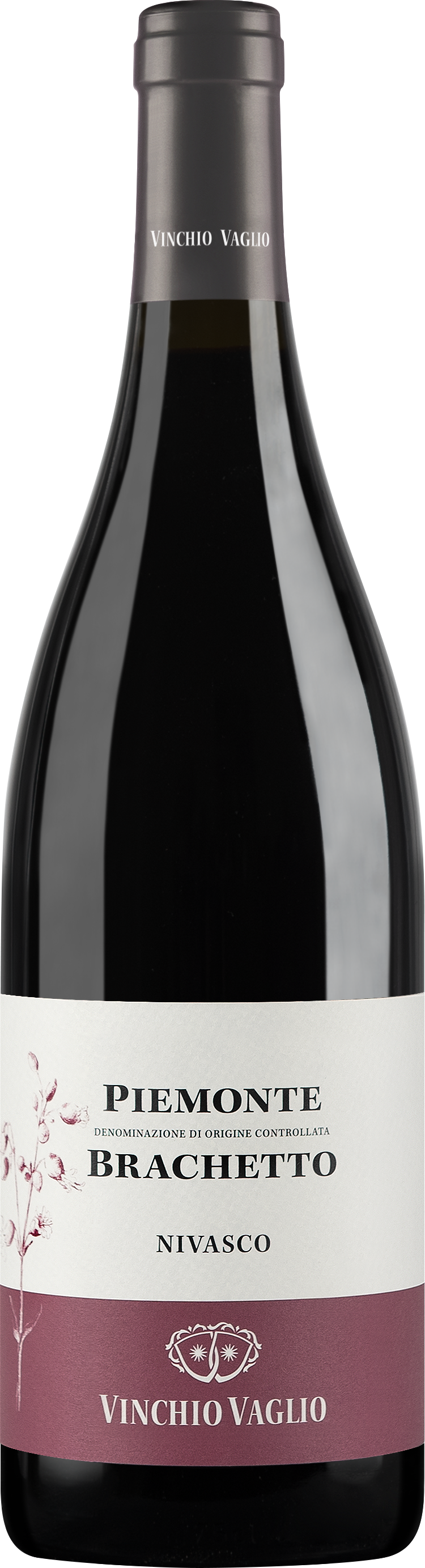 니바스코 브라퀘토 2023