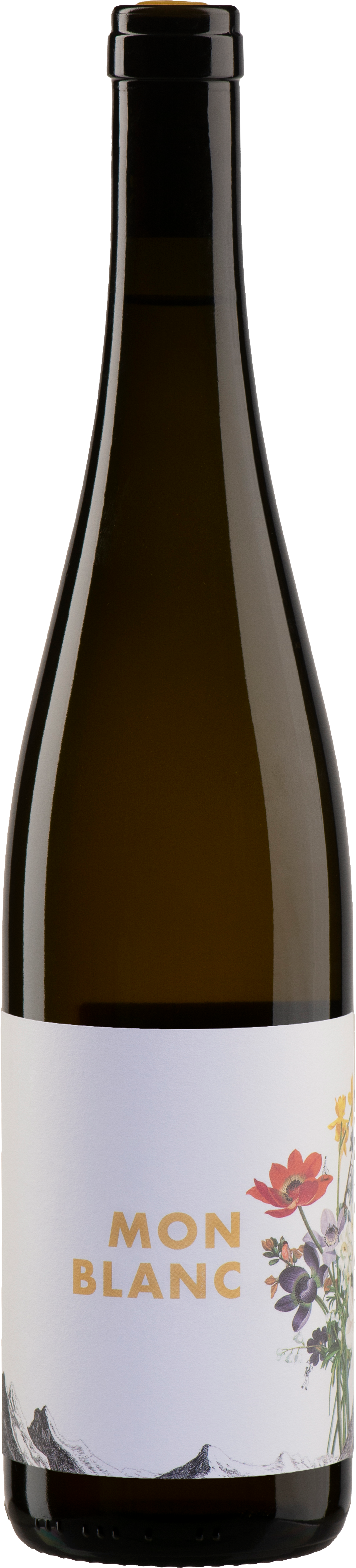 유르취치 몽블랑 2020