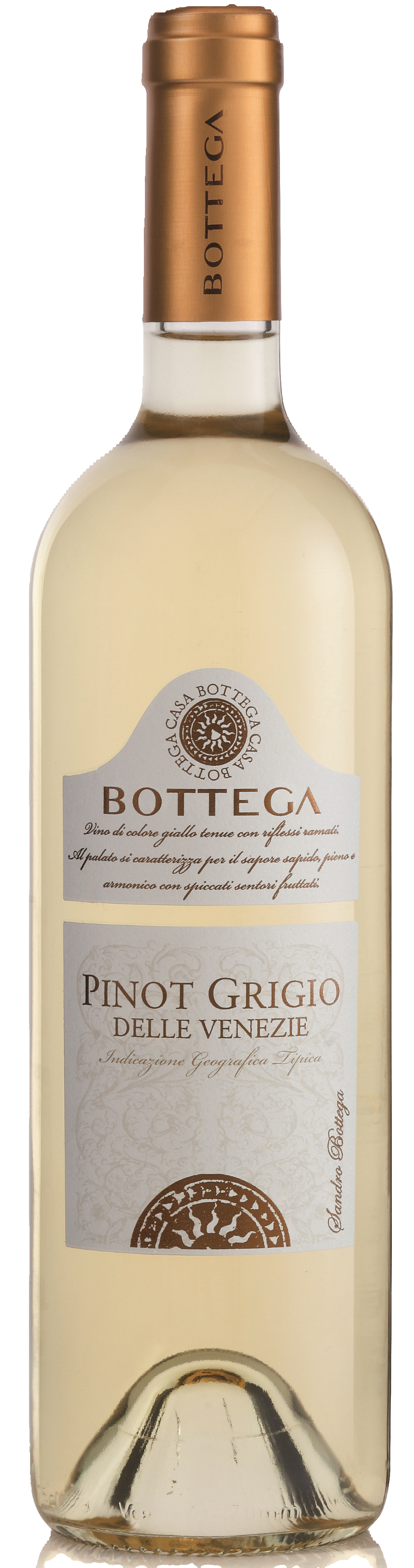 보테가 피노 그리지오 2020